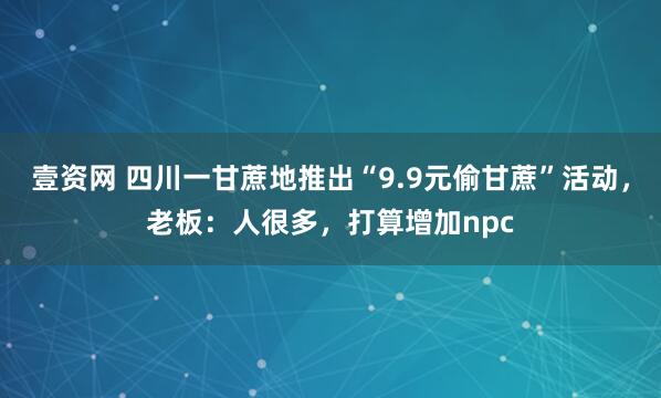 壹资网 四川一甘蔗地推出“9.9元偷甘蔗”活动，老板：人很多，打算增加npc