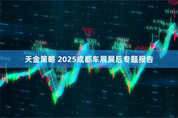 天金策略 2025成都车展展后专题报告